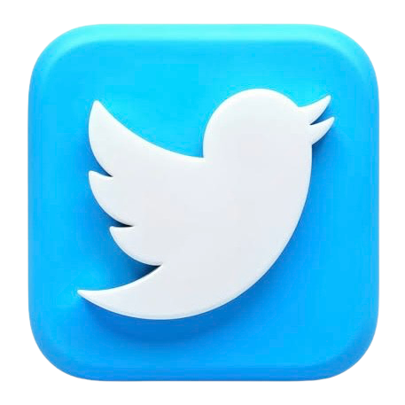 Twitter ( X ) - Followers